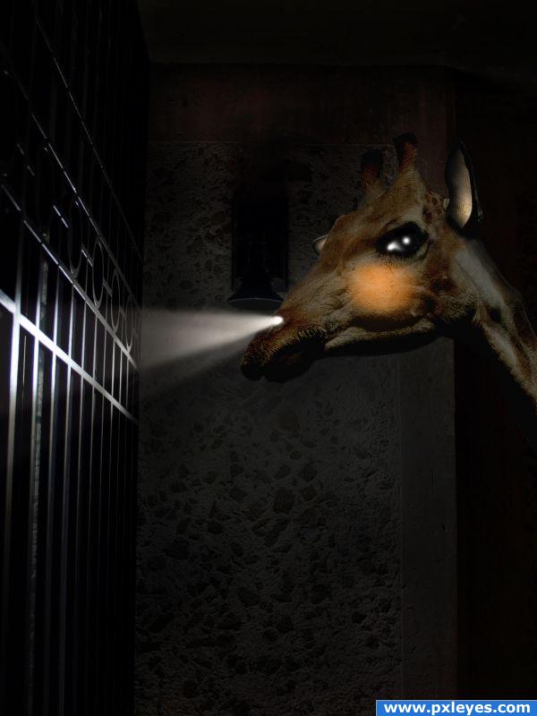  giraffe eating a light bulb